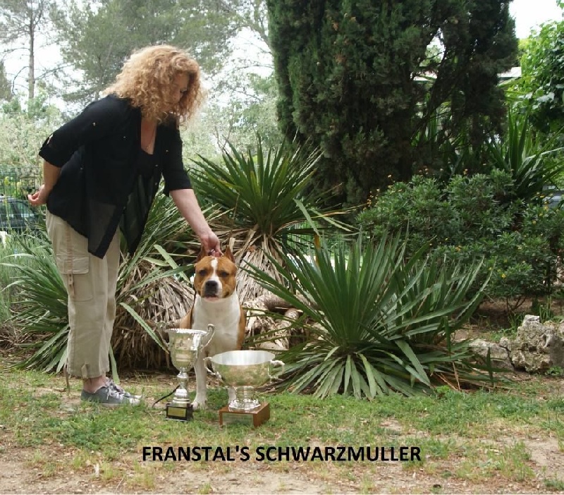 franstal's Schwarzmuller