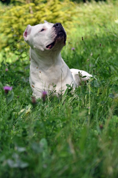 Ulga du domaine de Zeus